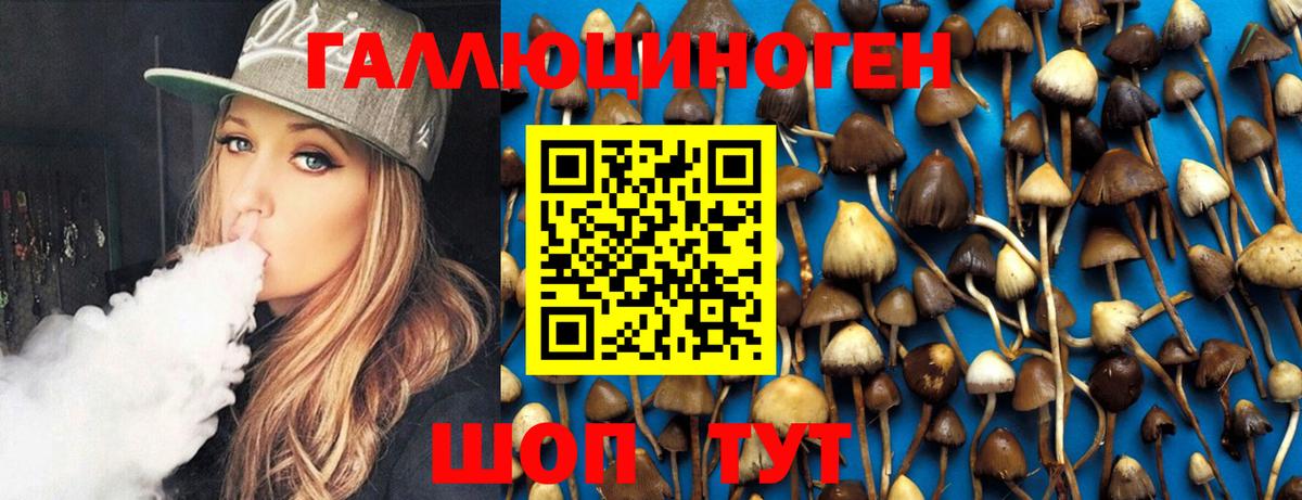 Кемерово  Псилоцибиновые грибы Magic Shrooms  Псилоцибиновые грибы Cubensis  Вход с VPN 