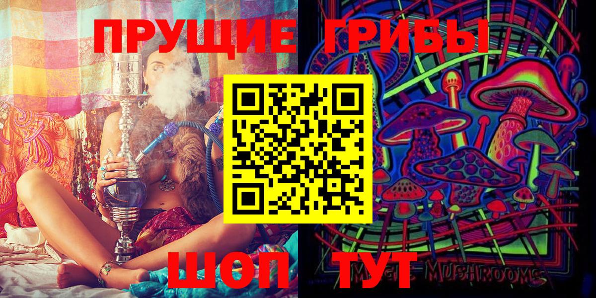 Псилоцибиновые грибы Psilocybine cubensis Кемерово